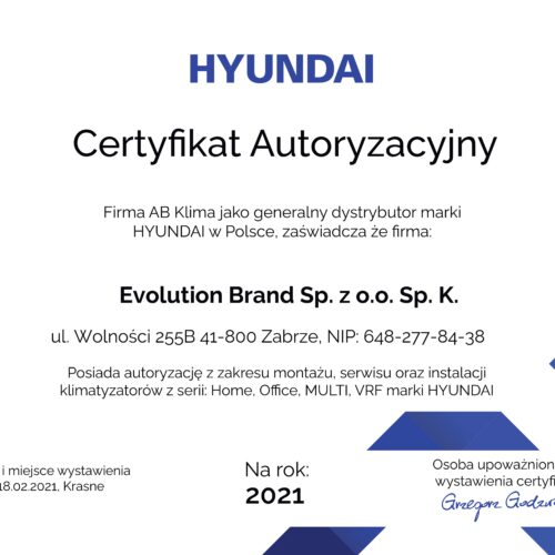 Certyfikat Hyundai - Klimatyzacja